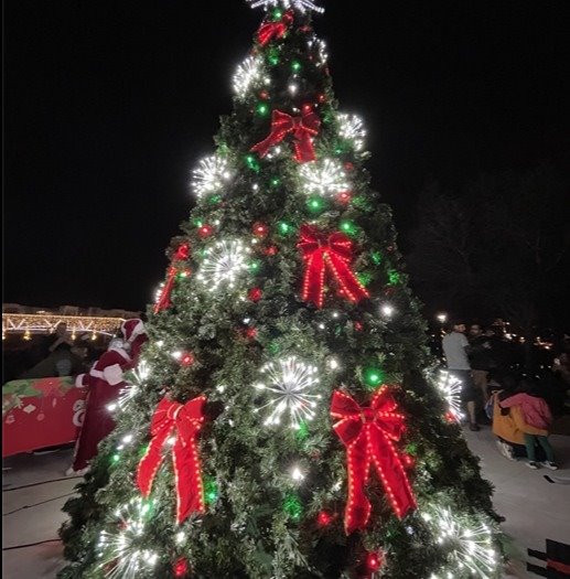 Oviedo Holiday Tree