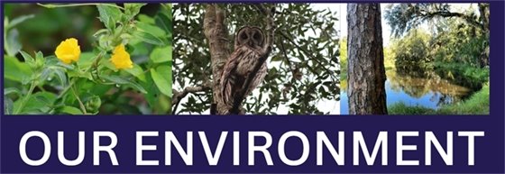 OUR ENVIRONMENT BANNER