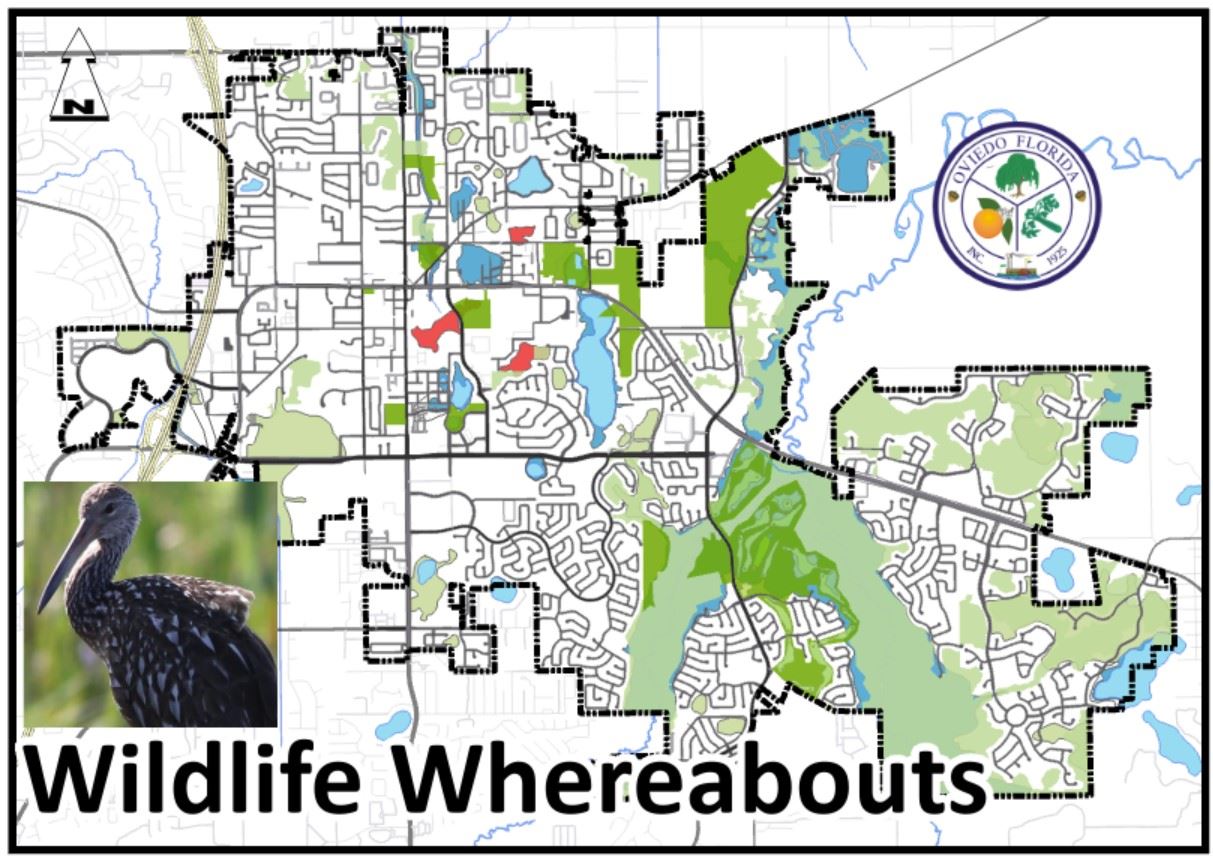 AppWildlifeWhereabouts