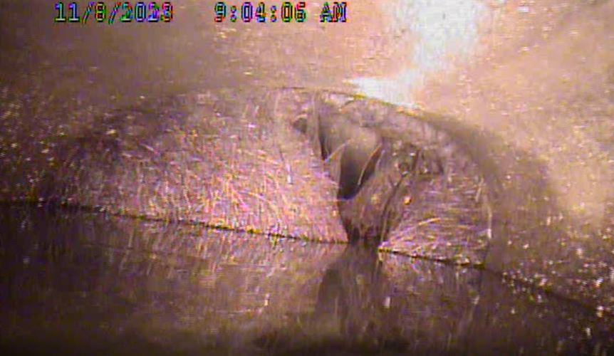 Roots in Storm Drain