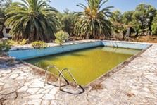 murky pool with green water
